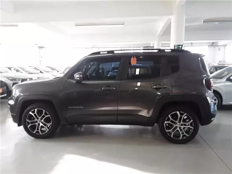 Jeep Renegade Cinza 2