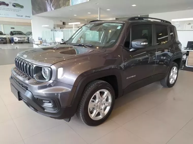 Jeep Renegade Cinza 7