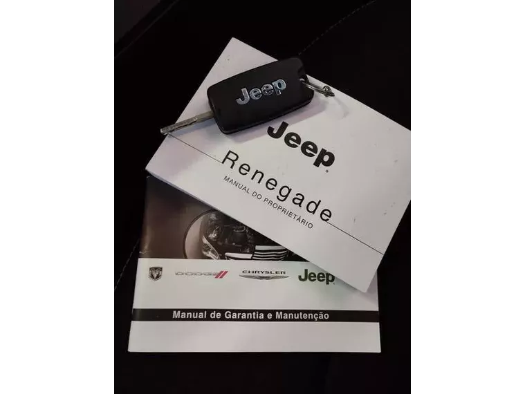 Jeep Renegade Cinza 4