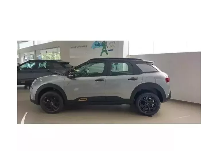 Citroën C4 Cactus Cinza 1