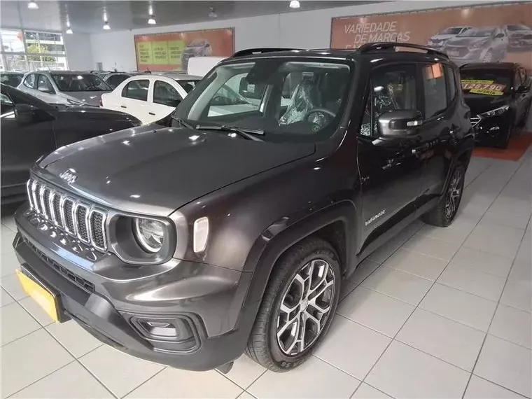 Jeep Renegade Cinza 10