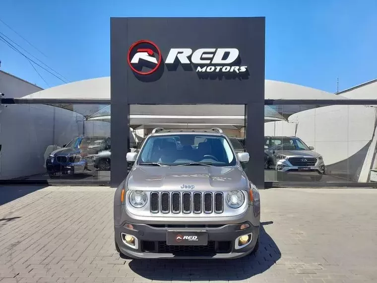 Jeep Renegade Cinza 14