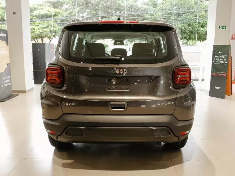 Jeep Renegade Cinza 12