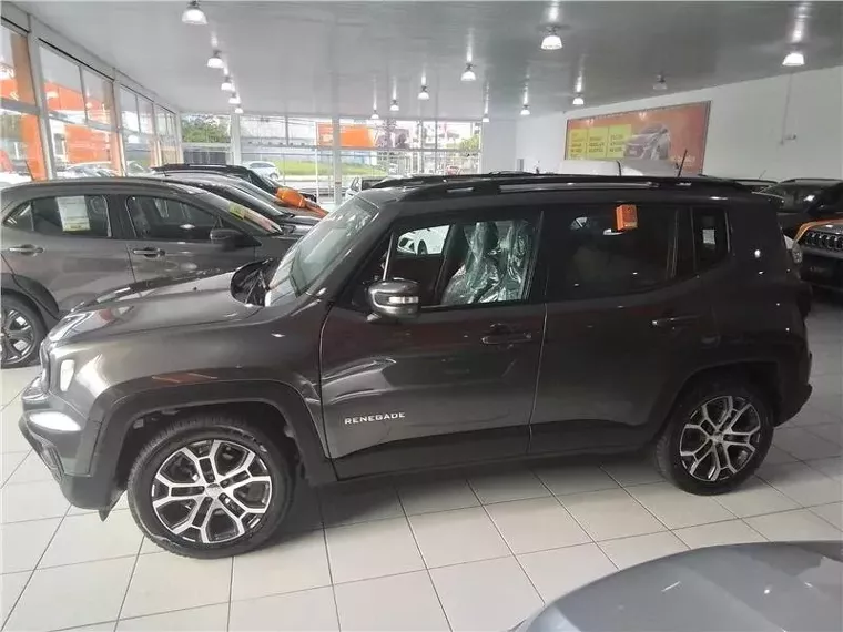 Jeep Renegade Cinza 5