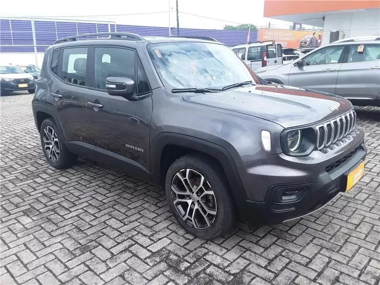 Jeep Renegade Cinza 17