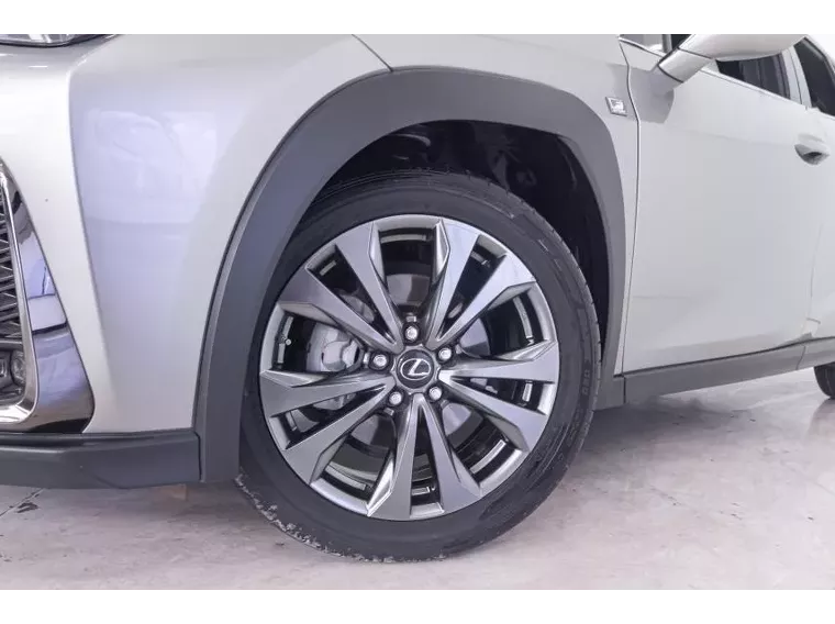 Lexus UX 250H Cinza 16