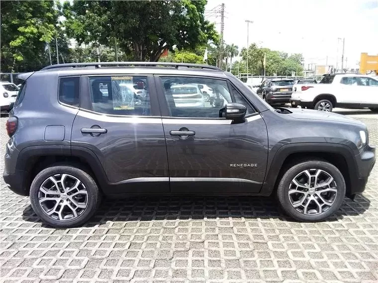 Jeep Renegade Cinza 5