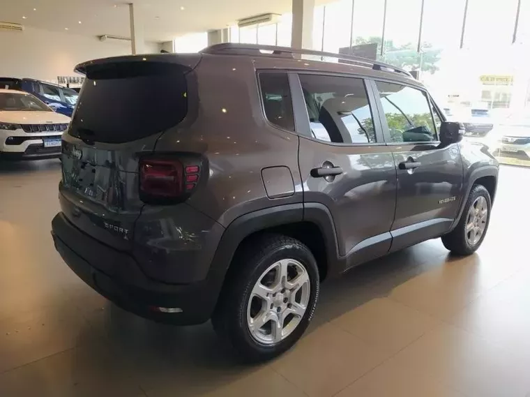 Jeep Renegade Cinza 2