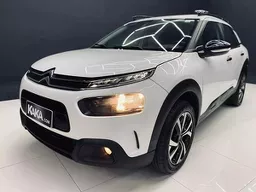 C4 Cactus