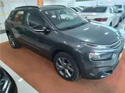 C4 Cactus