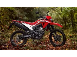 XR 300L