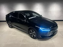 BYD King
