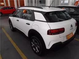 C4 Cactus