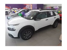 C4 Cactus