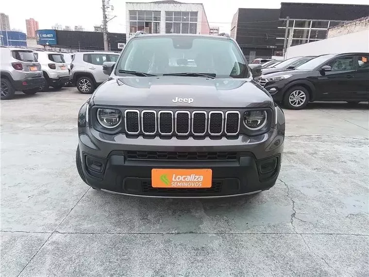 Jeep Renegade Cinza 9