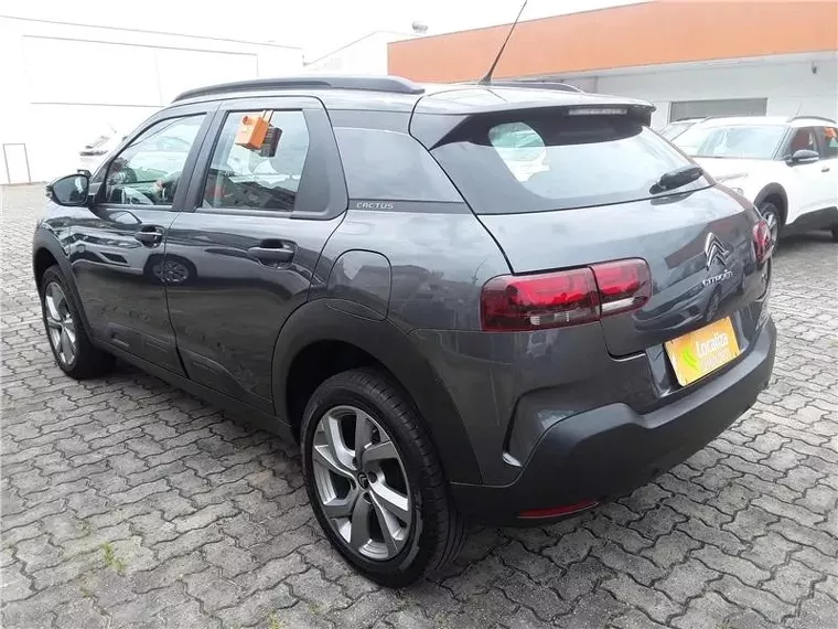 Citroën C4 Cactus Cinza 7