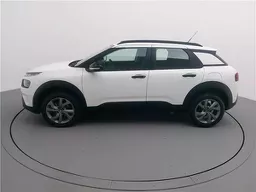 C4 Cactus