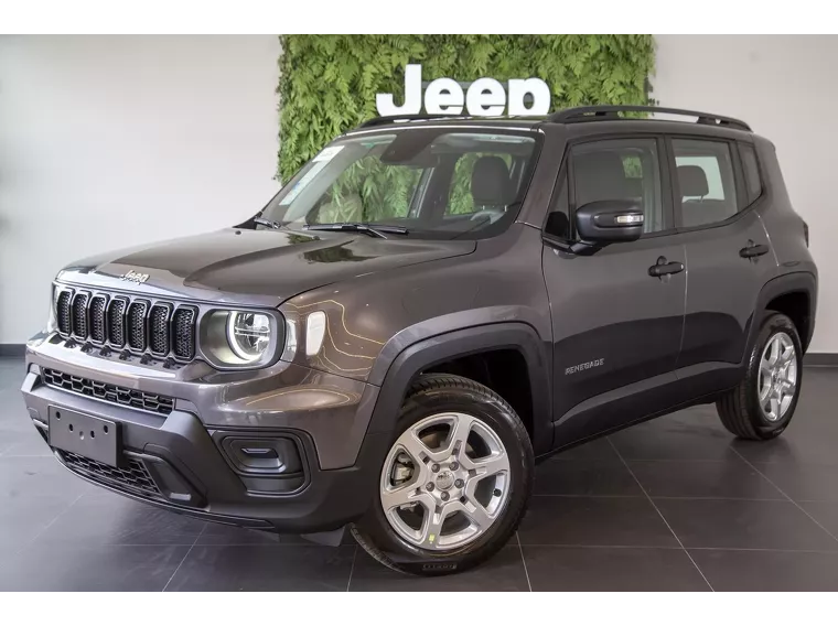 Jeep Renegade Cinza 4