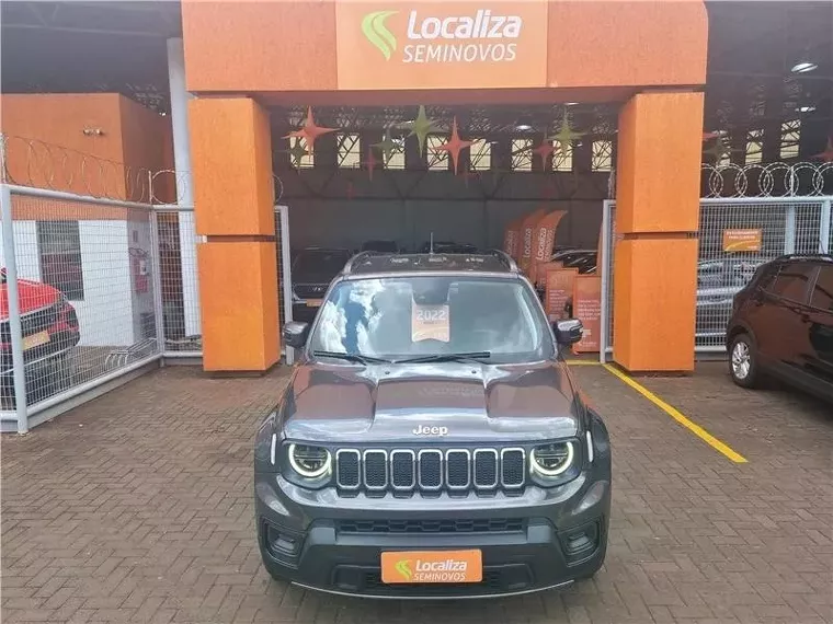 Jeep Renegade Cinza 7