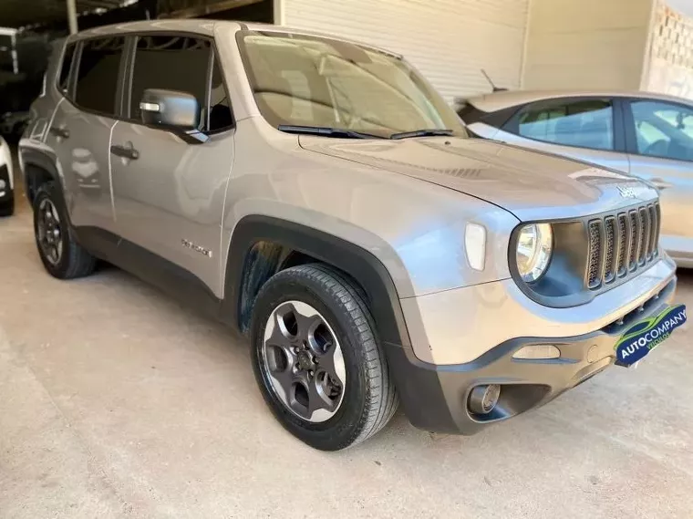 Jeep Renegade Cinza 12