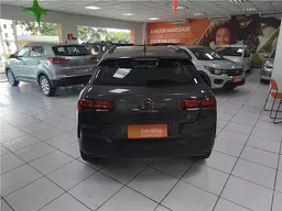 C4 Cactus