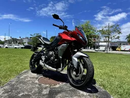 Tiger Sport