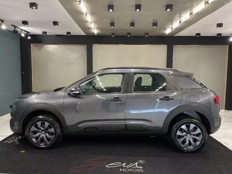 Citroën C4 Cactus Cinza 8