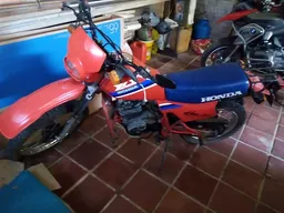 XLX 250