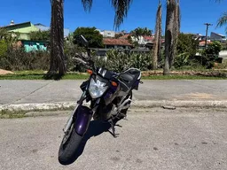 YS 250
