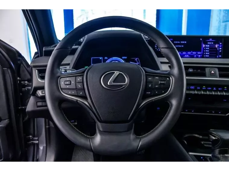 Lexus UX 250H Cinza 4