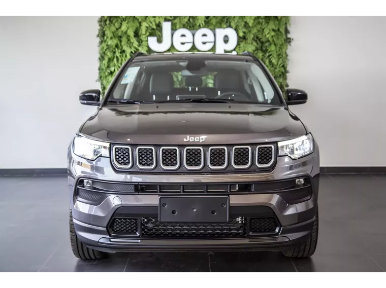 Jeep Compass Cinza 13