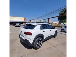 C4 Cactus