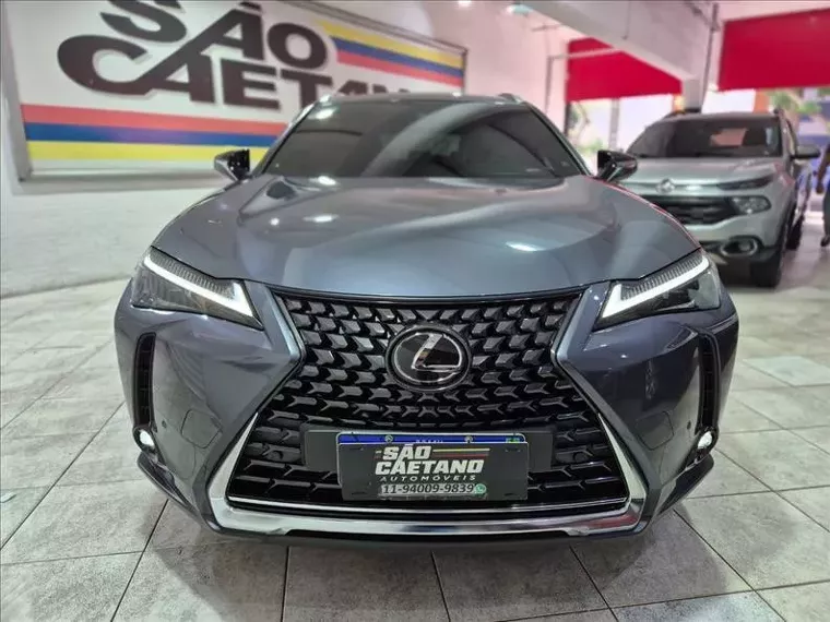 Lexus UX 250H Cinza 2