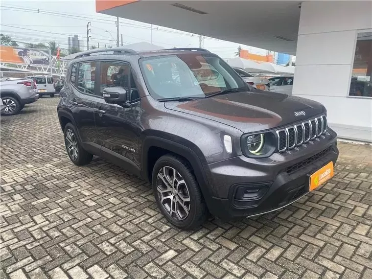 Jeep Renegade Cinza 3