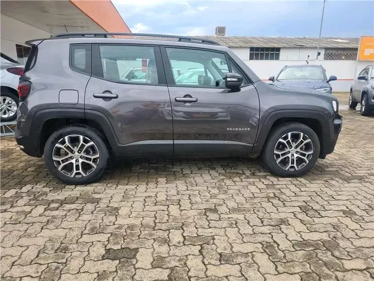 Jeep Renegade Cinza 15