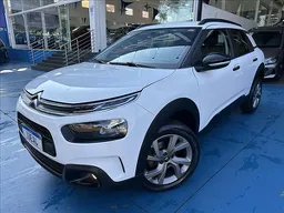 C4 Cactus