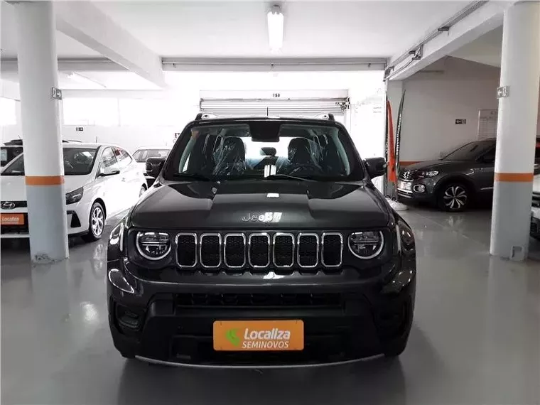 Jeep Renegade Cinza 1