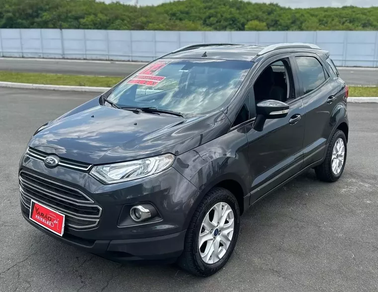 Ford Ecosport Cinza 15