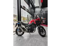 NX 500