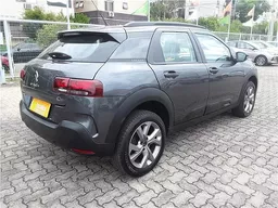 C4 Cactus