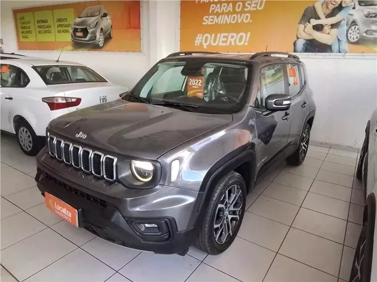 Jeep Renegade Cinza 7