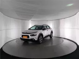 C4 Cactus