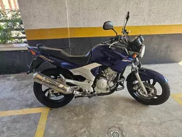 YS 250