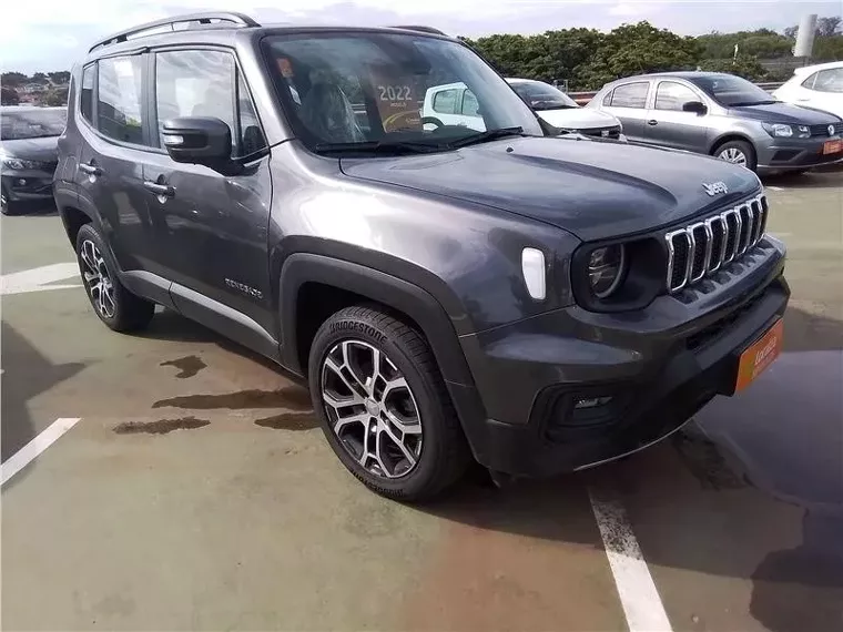 Jeep Renegade Cinza 8