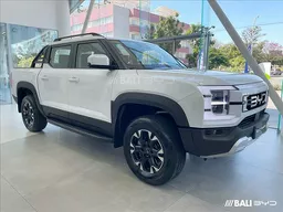 BYD Shark