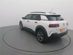 C4 Cactus