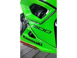 Kawasaki Ninja