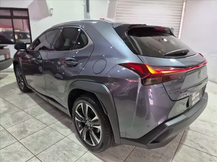 Lexus UX 250H Cinza 6