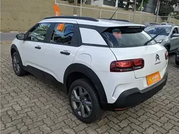 C4 Cactus