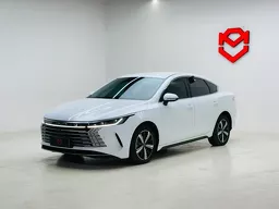 BYD King